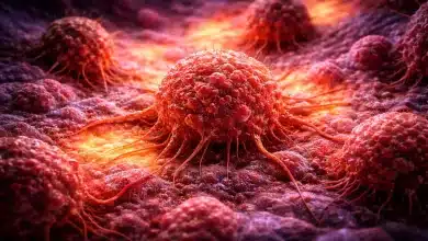 Cientistas alcançam regressão de tumores pancreáticos em estudo inovador 4 Cientistas alcançam regressão de tumores pancreáticos em estudo inovador