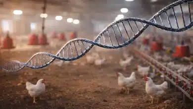 Peru autoriza 36 unidades do Brasil a exportar material genético animal 10 Peru autoriza 36 unidades do Brasil a exportar material genético animal