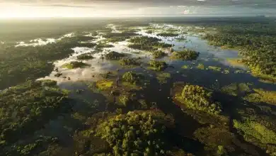Estudo revela que 18% da Amazônia são áreas úmidas vulneráveis 5 Estudo revela que 18% da Amazônia são áreas úmidas vulneráveis