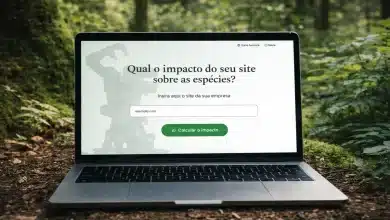 Calculadora revela pegada ambiental das buscas online 6 Calculadora revela pegada ambiental das buscas online