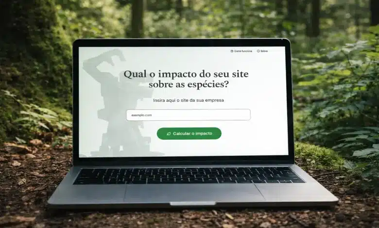 Calculadora revela pegada ambiental das buscas online