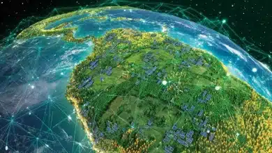 Plataforma Agro Brasil facilita exportação sustentável 5 Plataforma Agro Brasil facilita exportação sustentável