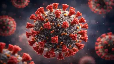 Vírus Nipah levanta preocupação internacional por alta letalidade 9 Vírus Nipah levanta preocupação internacional por alta letalidade