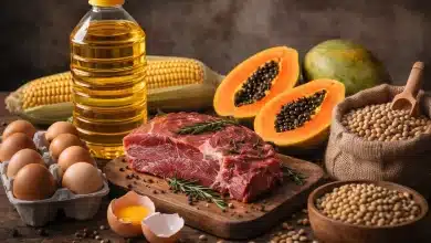 Exportações do agronegócio brasileiro atingem US$ 10,8 bi em janeiro 9 Exportações do agronegócio brasileiro atingem US$ 10,8 bi em janeiro
