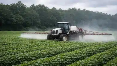 Impacto dos pesticidas na vida selvagem aumenta, aponta estudo 4 Impacto dos pesticidas na vida selvagem aumenta, aponta estudo