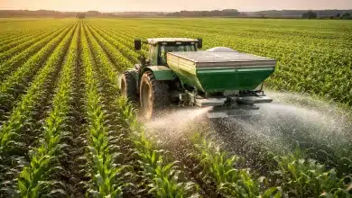 Lei de Fertilizantes é ajustada para atender à Lei do Autocontrole 2 Lei de Fertilizantes é ajustada para atender à Lei do Autocontrole