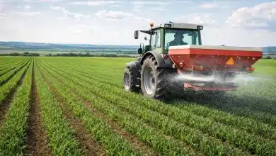 Fusão entre Massari e Morro Verde fortalece indústria de fertilizantes 1 Fusão entre Massari e Morro Verde fortalece indústria de fertilizantes