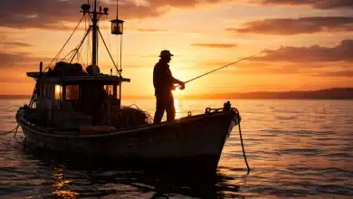 MPA cancela registros de pescadores por irregularidades 9 MPA cancela registros de pescadores por irregularidades