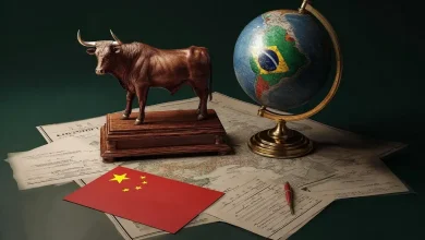 Brasil avalia limitar por empresa exportação de carne bovina para a China 7 Brasil Avalia Limitar Exportação de Carne Bovina para a China