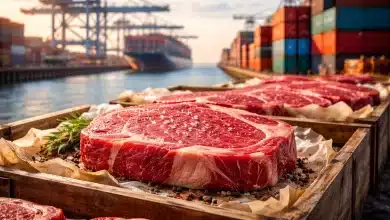 Infraestrutura portuária do Brasil impulsiona exportação de carne bovina 2 Infraestrutura portuária do Brasil impulsiona exportação de carne bovina