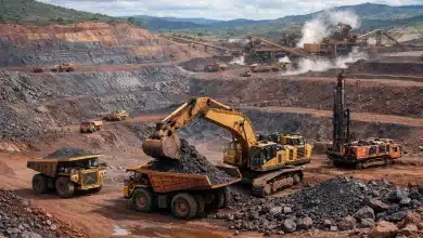Vale firma parceria estratégica na Índia para minério de ferro 3 Vale firma parceria estratégica na Índia para minério de ferro