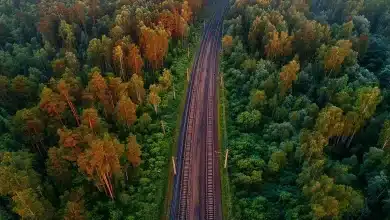 Novo ramal ferroviário em MS fortalece logística da celulose 6 Novo Ramal Ferroviário Impulsiona Celulose no MS