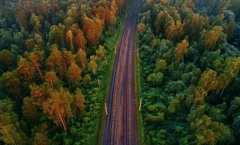 Novo Ramal Ferroviário Impulsiona Celulose no MS