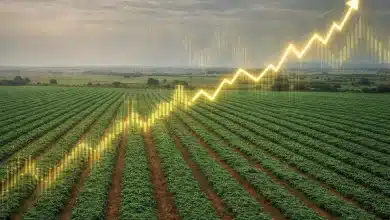 Exportação agropecuária cresce 2,1% em janeiro de 2026 6 Exportação agropecuária cresce 2,1% em janeiro de 2026