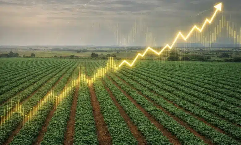 Exportação agropecuária cresce 2,1% em janeiro de 2026