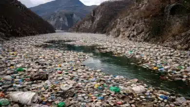 Poluição transforma rio Drina em desastre ecológico 2 Poluição transforma rio Drina em desastre ecológico