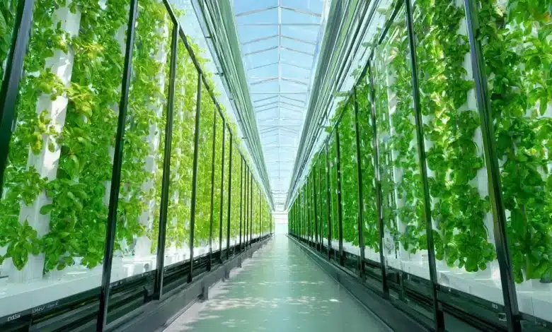 Tecnologias Poupa-Terra Impulsionam Produção Agrícola Sustentável