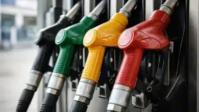 Ipiranga usa IA para prever demanda de combustíveis com 97,9% de precisão 2 Ipiranga usa IA para prever demanda de combustíveis com 97,9% de precisão