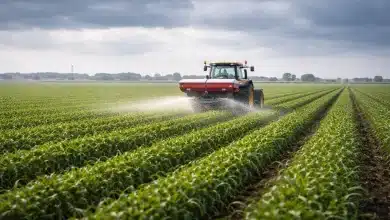 Guerra no Oriente Médio eleva preços dos fertilizantes no Brasil 8 Guerra no Oriente Médio eleva preços dos fertilizantes no Brasil