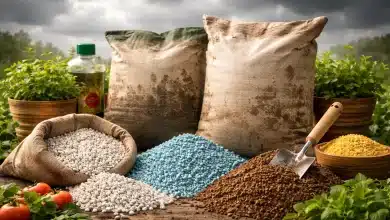 China restringe exportações de fertilizantes e impacta o Brasil 8 China restringe exportações de fertilizantes e impacta o Brasil
