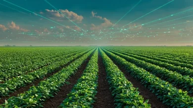 Produção de soja no Brasil deve atingir 173 milhões de toneladas em 2026 6 Safra de Soja 2026: Estimativa de Novo Recorde Histórico