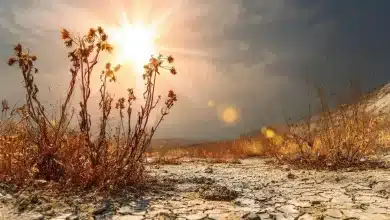 Secas perigosas aceleram com ondas de calor intensificadas 4 Secas Perigosas Aceleram com Ondas de Calor Intensificadas