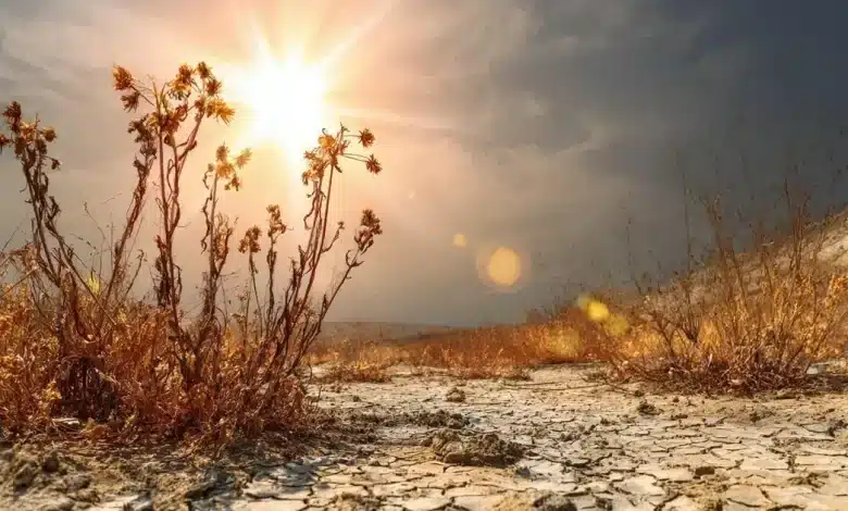 Secas Perigosas Aceleram com Ondas de Calor Intensificadas