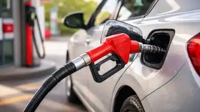 Vibra Energia adere à subvenção do diesel do governo 10 Vibra Energia adere à subvenção do diesel do governo