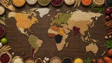 Calor ameaça sistemas alimentares mundiais, alerta ONU 3 Calor ameaça sistemas alimentares mundiais, alerta ONU
