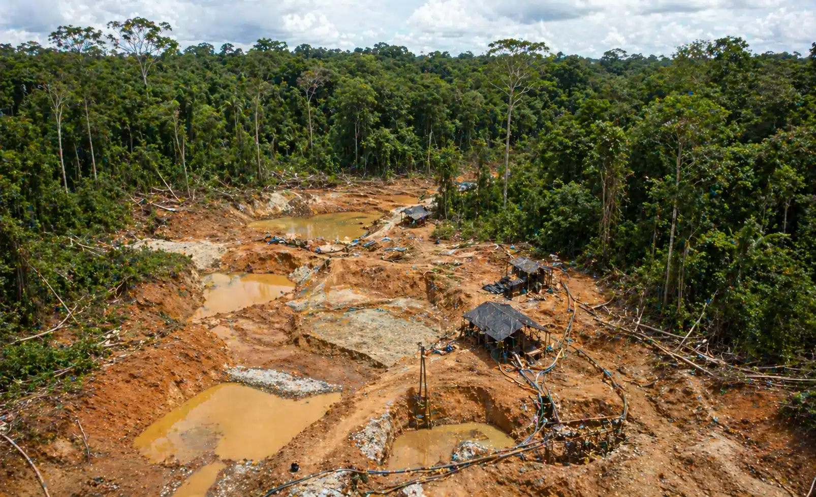 Mineração ilegal na Mata Atlântica deixa vestígios de mercúrio no solo