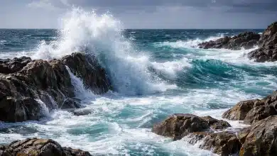 Temperaturas oceânicas quase recordes preocupam cientistas 1 Temperaturas oceânicas quase recordes preocupam cientistas