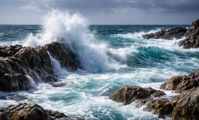Temperaturas oceânicas quase recordes preocupam cientistas