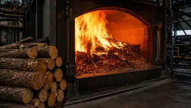 Queima de madeira é pior para o clima que gás, aponta estudo 2 Queima de madeira é pior para o clima que gás, aponta estudo