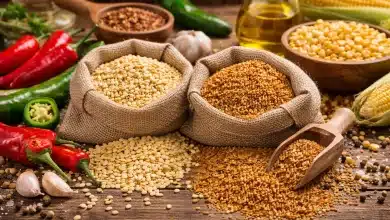 Brasil abre mercado para pimentas no Peru e milho nas Filipinas 8 Brasil abre mercado para pimentas no Peru e milho nas Filipinas