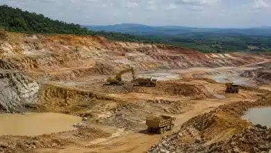Cade investiga acordo entre Serra Verde e USA Rare Earth 1 Cade investiga acordo entre Serra Verde e USA Rare Earth