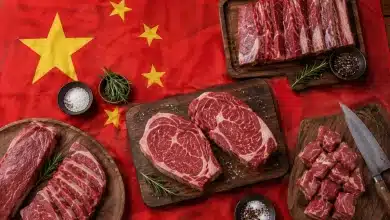 China reabilita três frigoríficos brasileiros para exportação de carne bovina 1 China reabilita três frigoríficos brasileiros para exportação de carne bovina