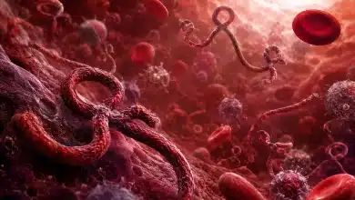 'Epidemia está nos ultrapassando', diz diretor da OMS sobre surto de Ebola 10 'Epidemia está nos ultrapassando', diz diretor da OMS sobre surto de Ebola