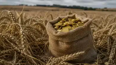 Comissão aprova suspensão de dívidas rurais por 36 meses devido ao El Niño 5 Comissão aprova suspensão de dívidas rurais por 36 meses devido ao El Niño