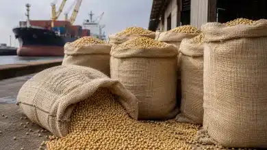China comprará US$ 17 bilhões em produtos agrícolas dos EUA por ano 3 China comprará US$ 17 bilhões em produtos agrícolas dos EUA por ano