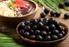Comissão aprova programa de incentivo ao cultivo e exportação de açaí