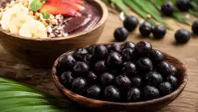 Comissão aprova programa de incentivo ao cultivo e exportação de açaí