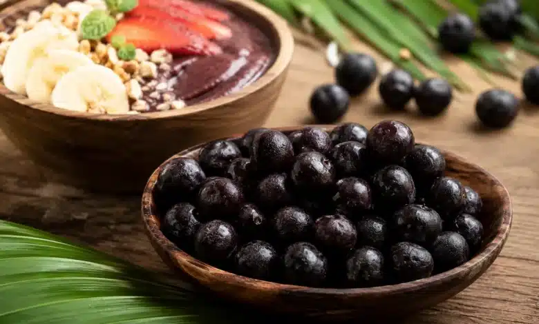 Comissão aprova programa de incentivo ao cultivo e exportação de açaí