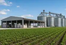 Nova lei torna opcional o credenciamento de armazéns agropecuários