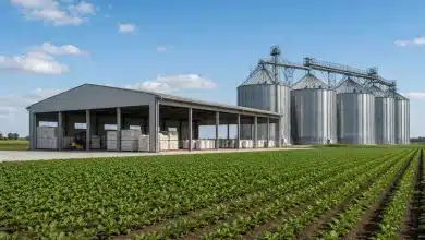 Nova lei torna opcional o credenciamento de armazéns agropecuários