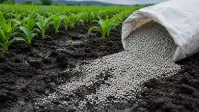Embrapa cria calcário nanoestruturado para lavouras