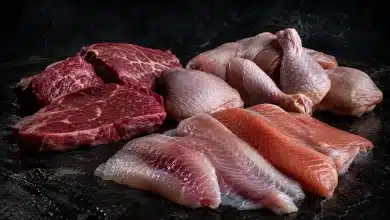 UE formaliza restrições às carnes brasileiras por regras sanitárias 2 UE formaliza restrições às carnes brasileiras por regras sanitárias