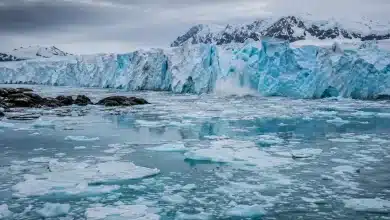 Anomalia climática eleva temperaturas de inverno na Antártida 2 Anomalia climática eleva temperaturas de inverno na Antártida