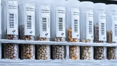 MDIC lança projeto para mapear bancos de germoplasma no Brasil 2 MDIC lança projeto para mapear bancos de germoplasma no Brasil