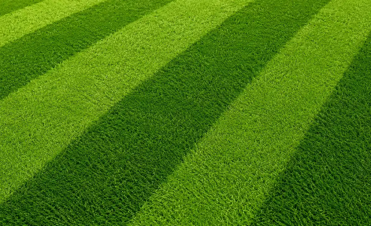 Produtores de grama aumentam vendas com a Copa do Mundo 2 Produtores de grama aumentam vendas com a Copa do Mundo