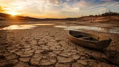 Lago Velence desaparece aos poucos em meio à seca e má gestão